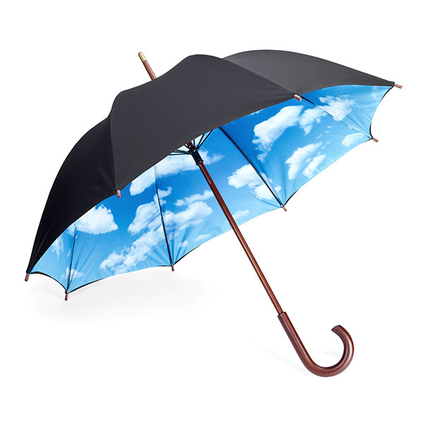 umbrela2