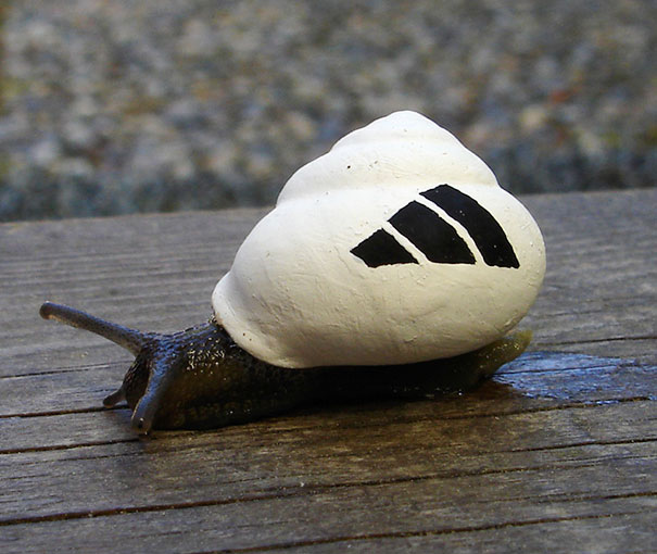 painted-snail-shell-15