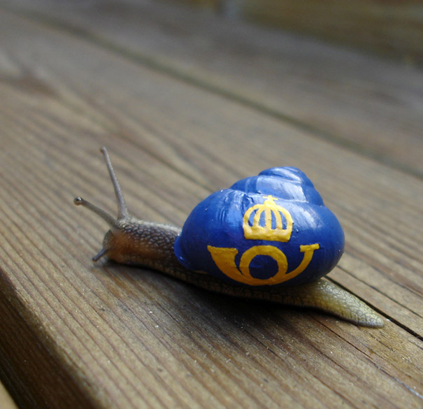painted-snail-shell-4