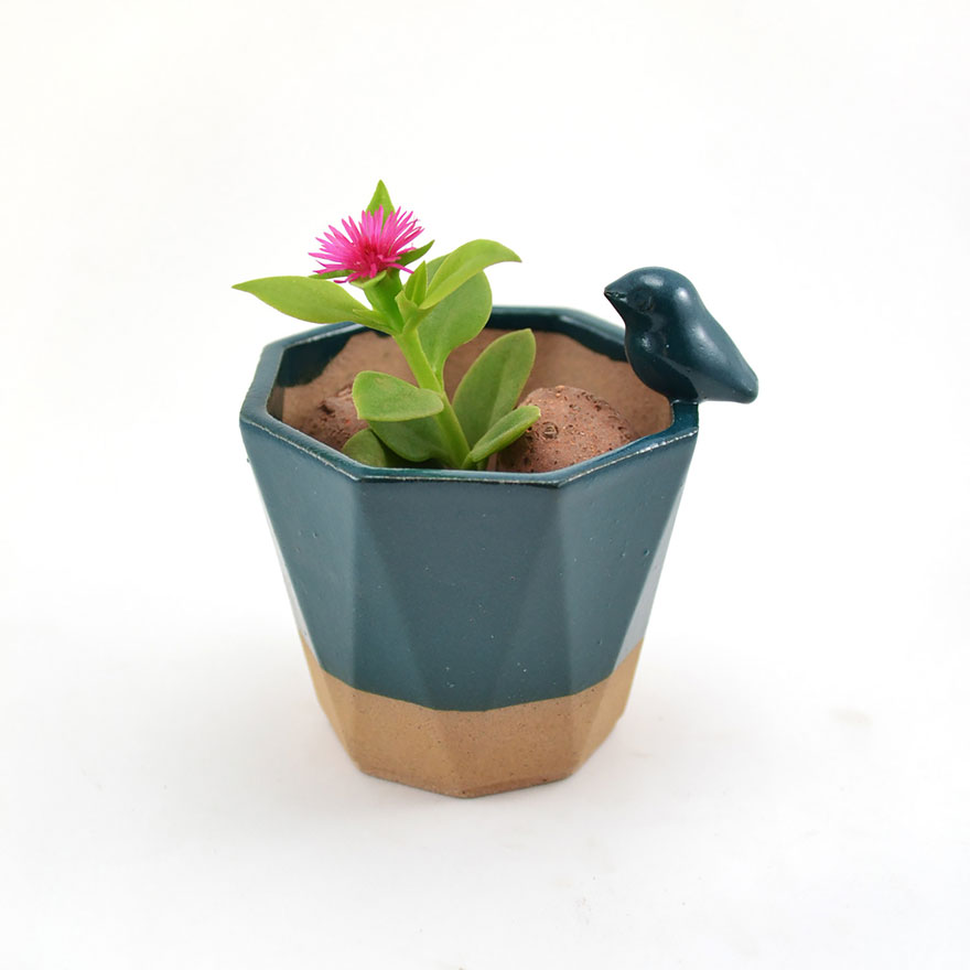 cute-succulent-planters-ceramic-stoneware-priscilla-ramos-cumbachic-10