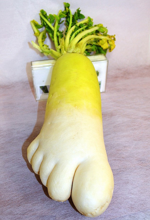 unusual-shape-fruit-vegetables-8__605