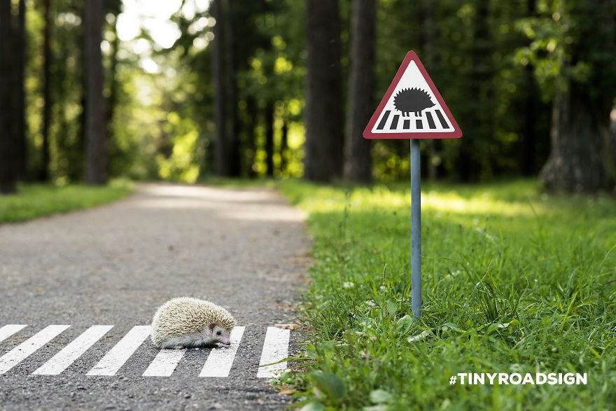 TINYROADSIGN-road-signs-for-animals__880