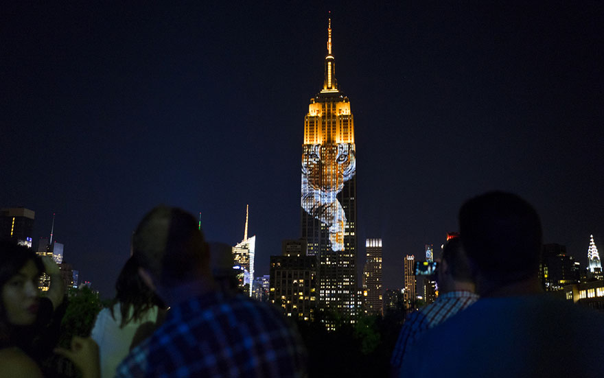 empire-state-projection-endangered-animals-nyc-19