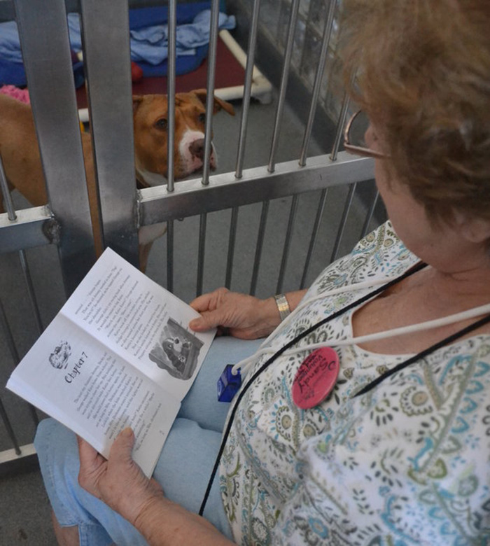 woman-reads-books-shelter-dogs-12
